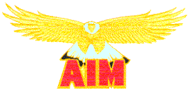 AIM eagle pin
